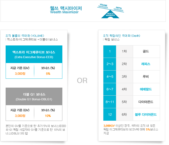 웰쓰 맥시마이저(Wealth Maximizer)는 조직 벌볼류의 극대화 (VOLUME) : 엑스트라 이그제큐티브 + 더블G1보너스 엑스트라 이그제큐티브 보너스 (Extra Executive Bounce-EEB)는 지급기준 (GV) 3000점과, 보너스(%) 10%를 지급합니다. 본인의 GV에 대한 추가 5%의 보너스 (EEB) 지급과 G1 독립사업자의 GV에 대한 10% 보너스 (DBLG1)의 합입니다. 또는 조직 독립라인 극대화 (Depth): 독립 보너스로, 1월 1차 골드, 2-3월 2차 래피스, 4-5 3차 루비, 6~7 4차 에메랄드, 8-11 5차 다이아몬드, 12 6차 블루 다이아몬드, 3000GV 이상인 경우, 귀하의 조직 내의 모든 독립 이그제큐티브의 GV에 대해 5% 보너스 단, 귀하의 GV가 3,000점 미만이면 2.5% 보너스 지급됩니다.